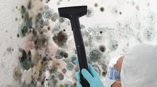 Licenses and Certificates