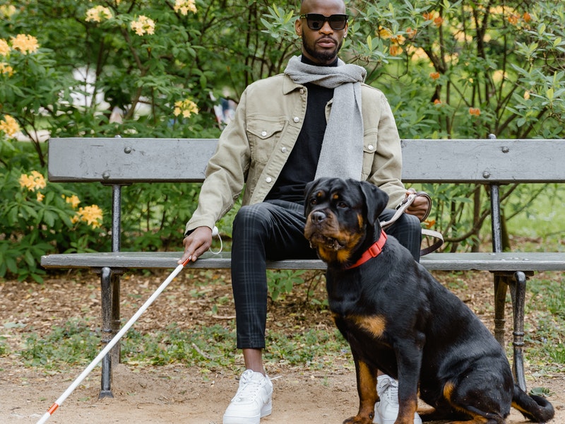 blind man sitting with his guide dog