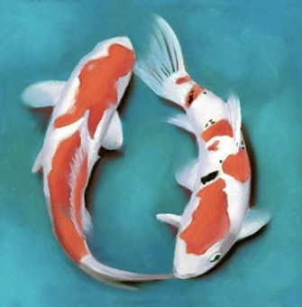 Koi Fish Paintings by Various Artists
