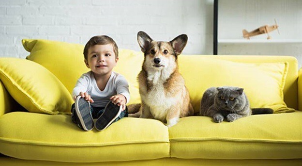 Don’t bring your children or pets