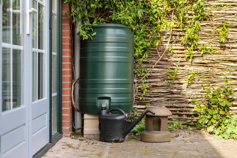 arvest Rainwater 