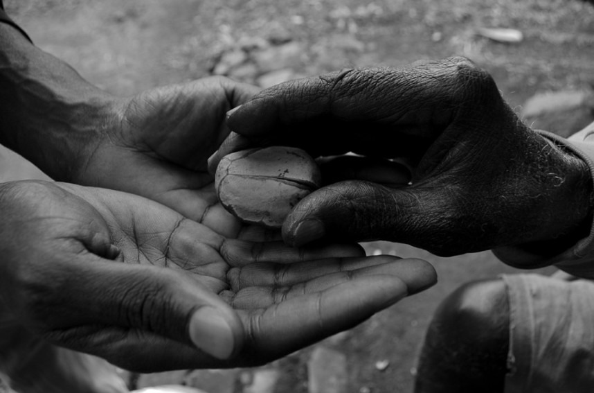 Kola nut as an offering in the African Tribes