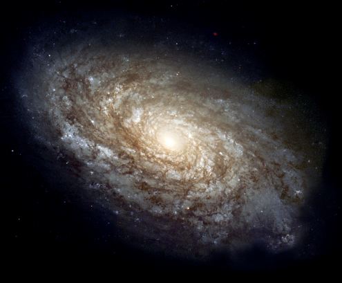 The Milky Way galaxy, estimated to be 100,000 light-years from the earth