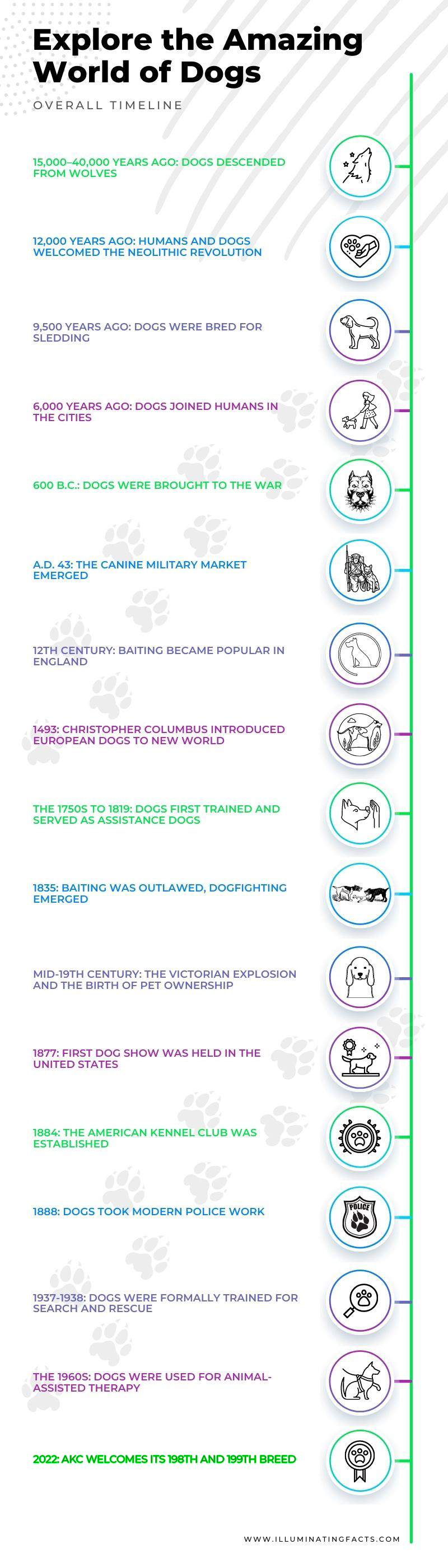 Timeline of the History of Dogs