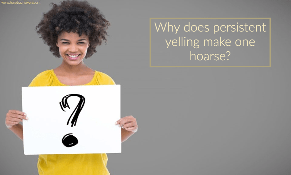 Why does persistent yelling make one hoarse?