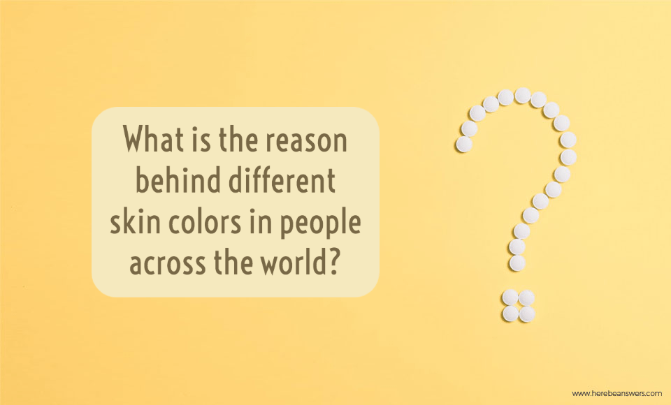 What is the reason behind different skin colors in people across the world