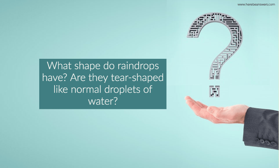What shape do raindrops have? Are they tear shaped like normal droplets of water?