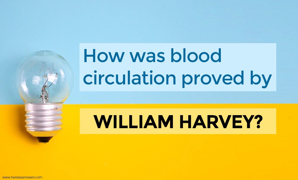How was blood circulation proved by William Harvey