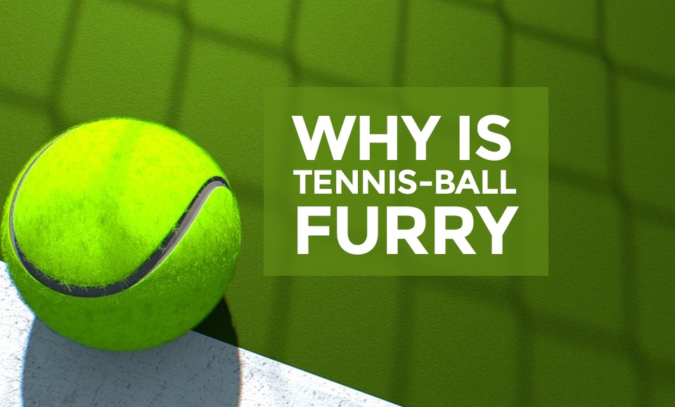 Why is tennis-ball furry