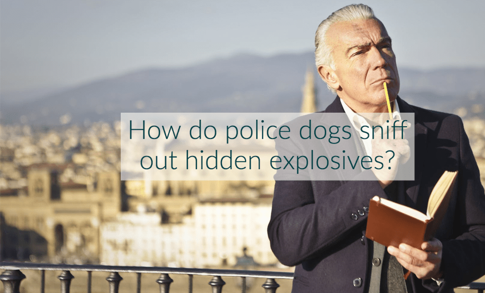 How do police dogs sniff out hidden explosives?
