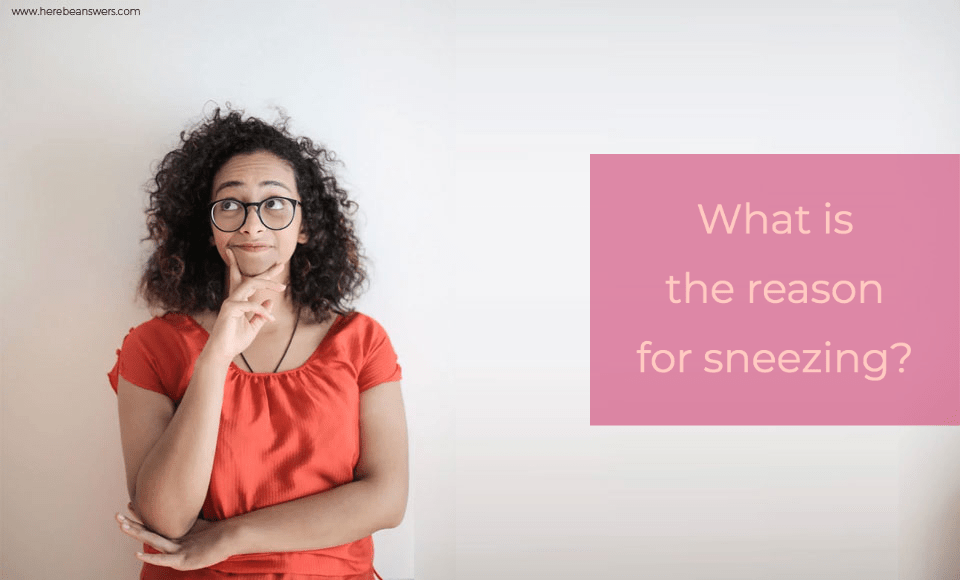 What is the reason for sneezing?