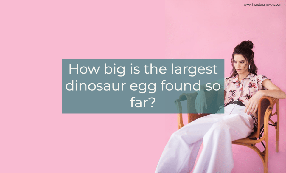 How big is the largest dinosaur egg found so far?