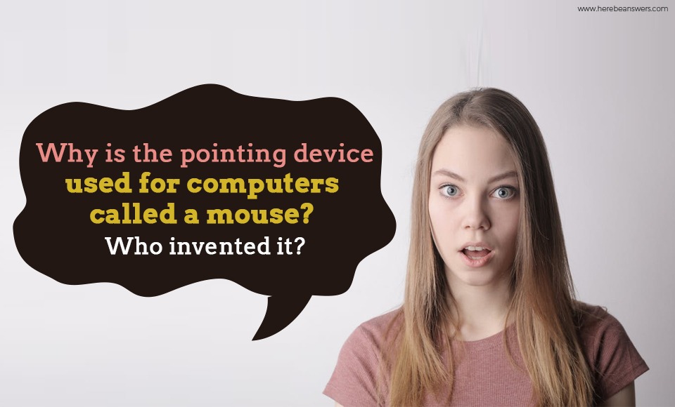 Why is the pointing device used for computers called a mouse