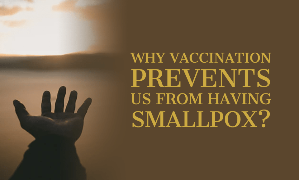 Why vaccination prevents us from having smallpox