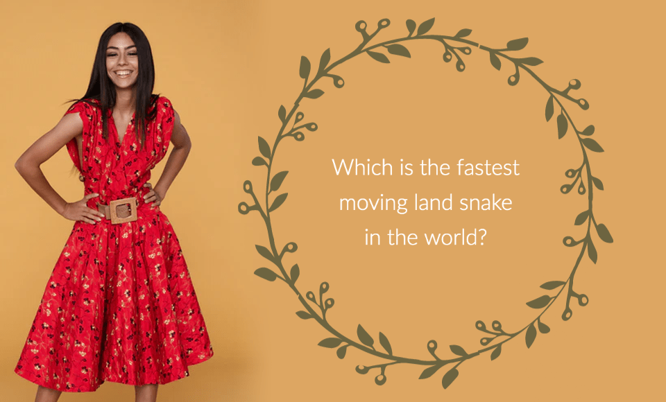 Which is the fastest moving land snake in the world?