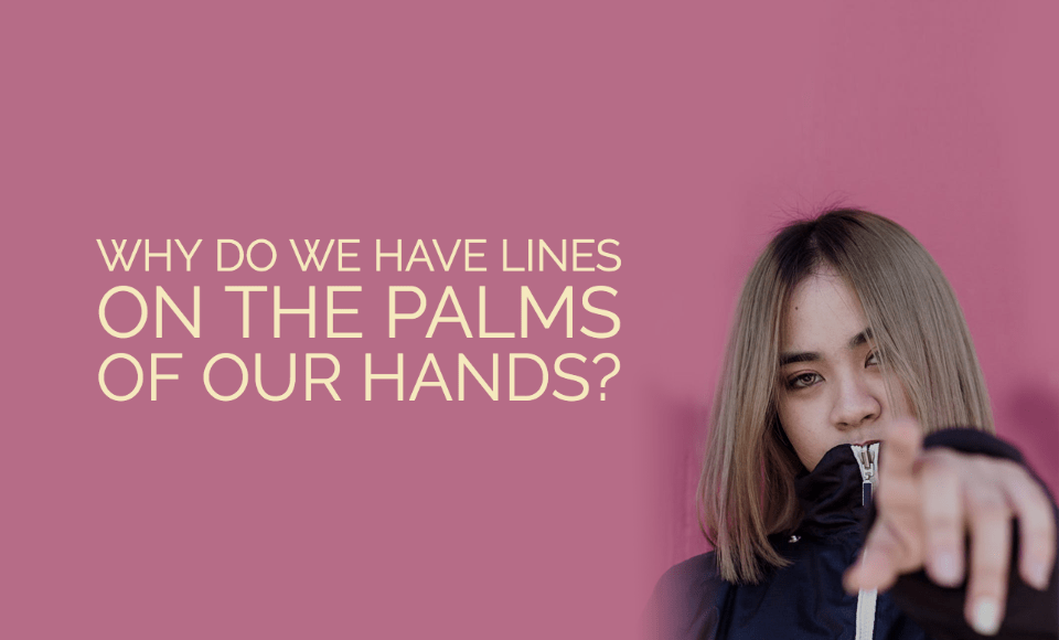 Why do we have lines on the palms of our hands