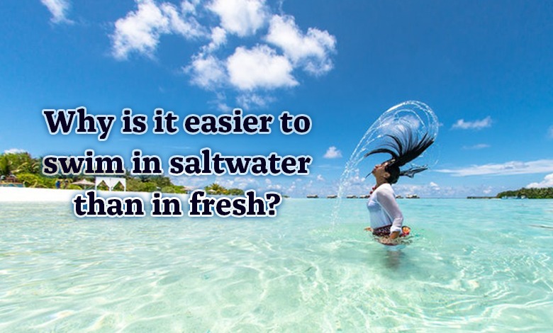 Why is it easier to swim in saltwater than in fresh?