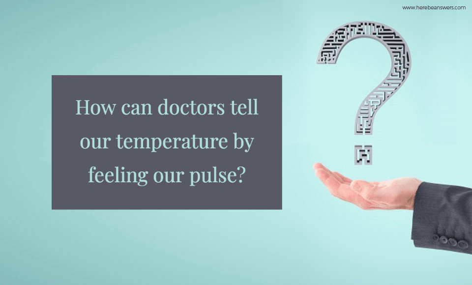 How can doctors tell our temperature by feeling our pulse?