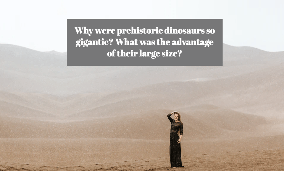 Why were prehistoric dinosaurs so gigantic? What was the advantage of their large size?