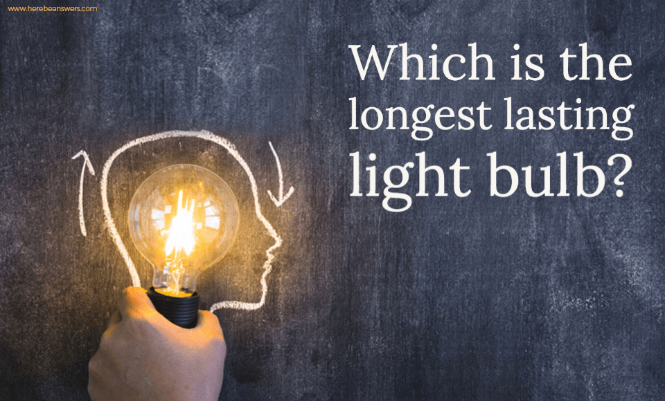 Which is the longest lasting light bulb?