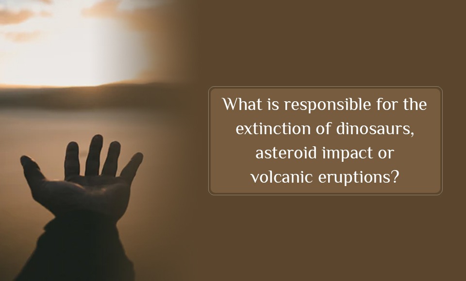 What is responsible for the extinction of dinosaurs, asteroid impact or volcanic eruptions?