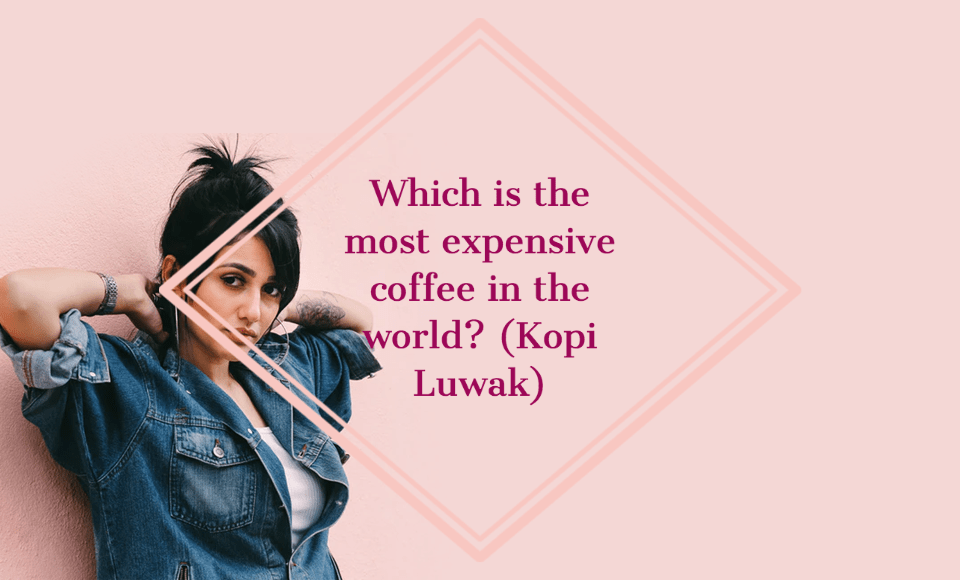 Which is the most expensive coffee in the world Kopi Luwak