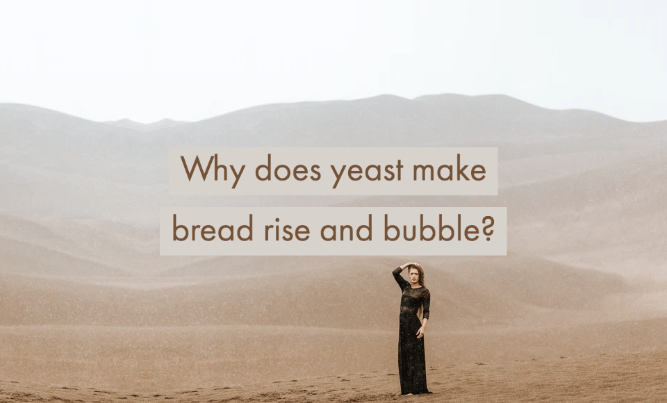 Why does yeast make bread rise and bubble