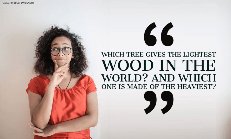 Which tree gives the lightest wood in the world And which one is made of the heaviest