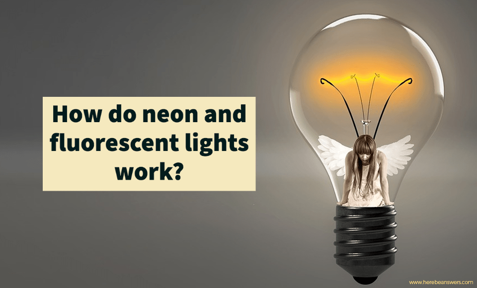 How do neon and fluorescent lights work?