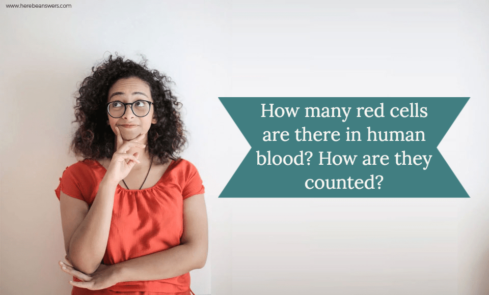 How many red cells are there in human blood? How are they counted?
