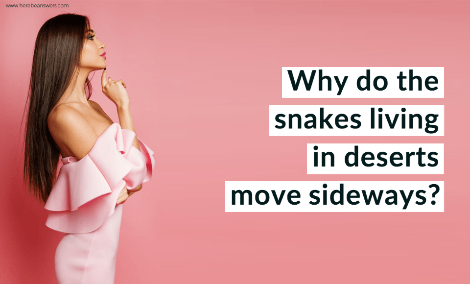 Why do the snakes living in deserts move sideways