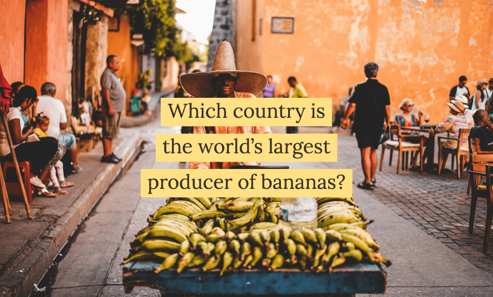 Which country is the worlds largest producer of bananas