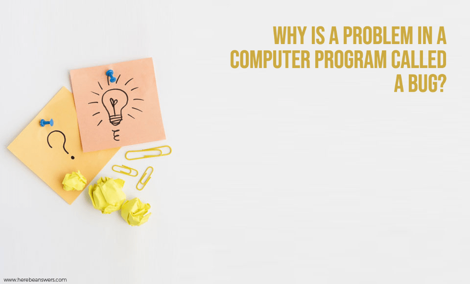 Why is a problem in a computer program called a bug