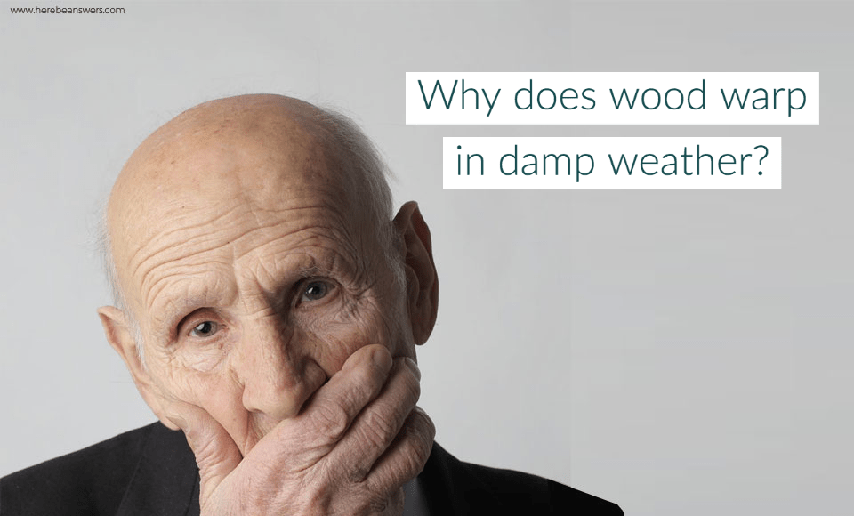 Why does wood warp in damp weather
