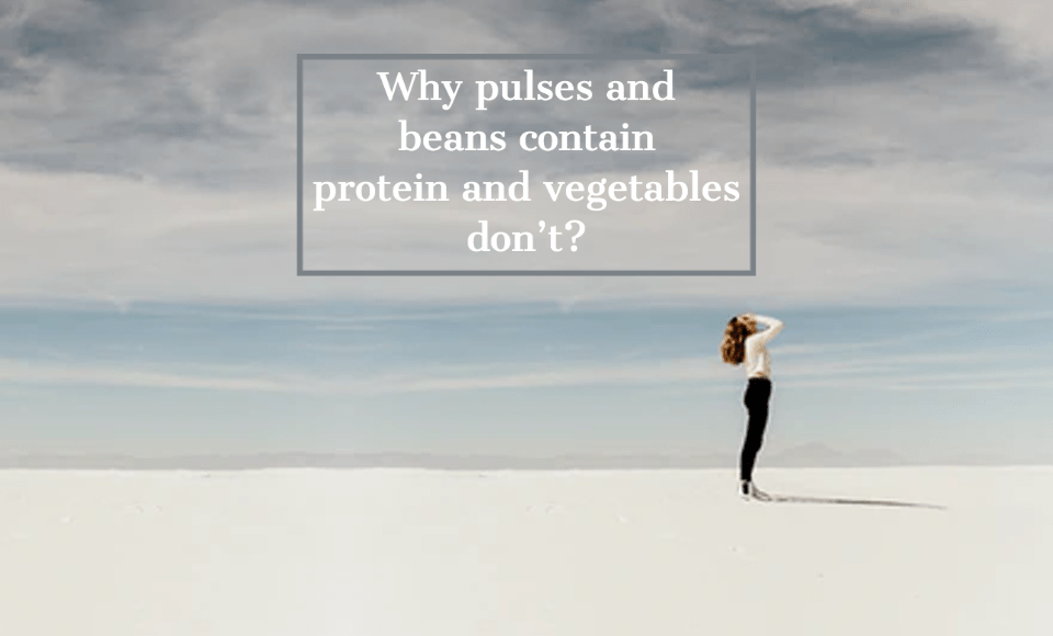 Why pulses and beans contain protein and vegetables don't