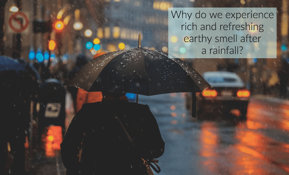 Why do we experience rich and refreshing earthy smell after a rainfall