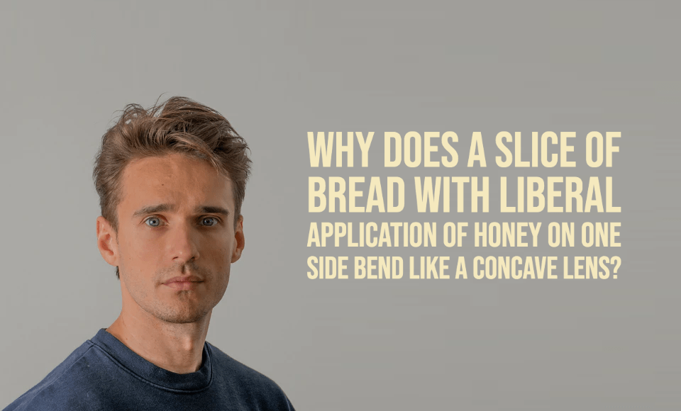 Why does a slice of bread with liberal application of honey on one side bend like a concave lens