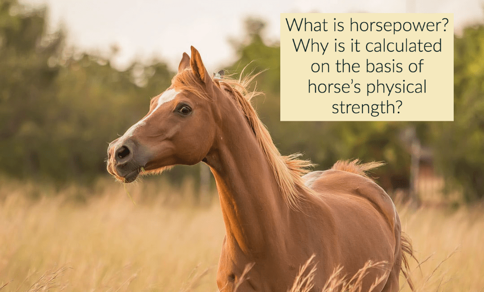 What is horsepower Why is it calculated on the basis of horses physical strength