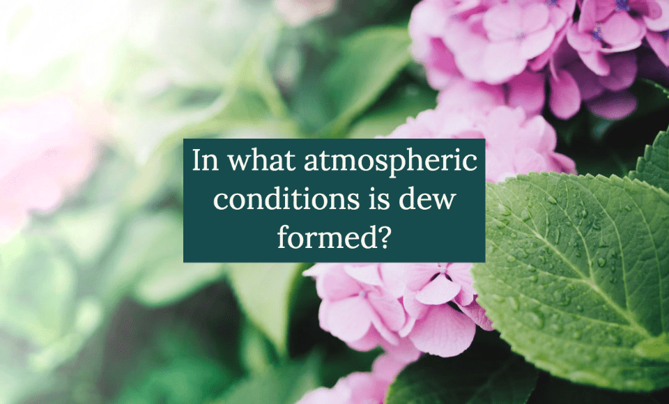 In what atmospheric conditions is dew formed