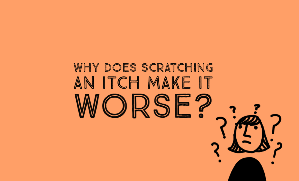 Why does scratching an itch make it worse