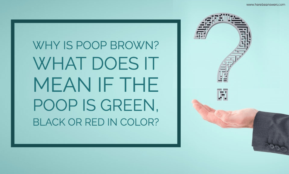 Why is poop brown What does it mean if the poop is green, black or red in color