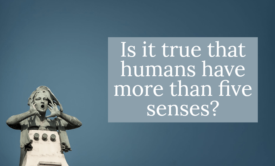 Is it true that humans have more than five senses?