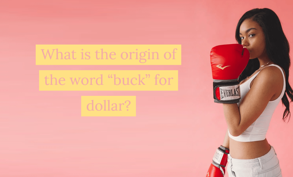 What is the origin of the word "buck" for dollar?