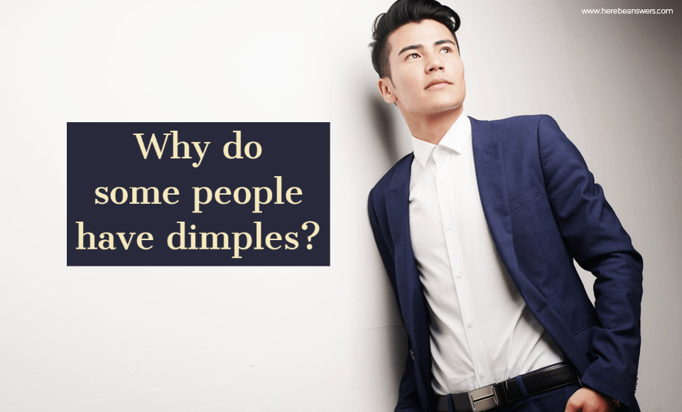 Why do some people have dimples