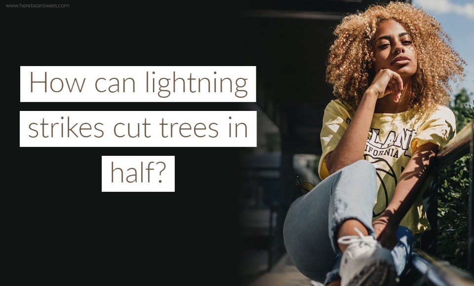 How can lightning strikes cut trees in half