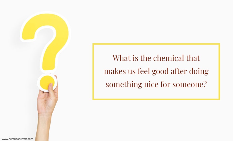 What is the chemical that makes us feel good after doing something nice for somone