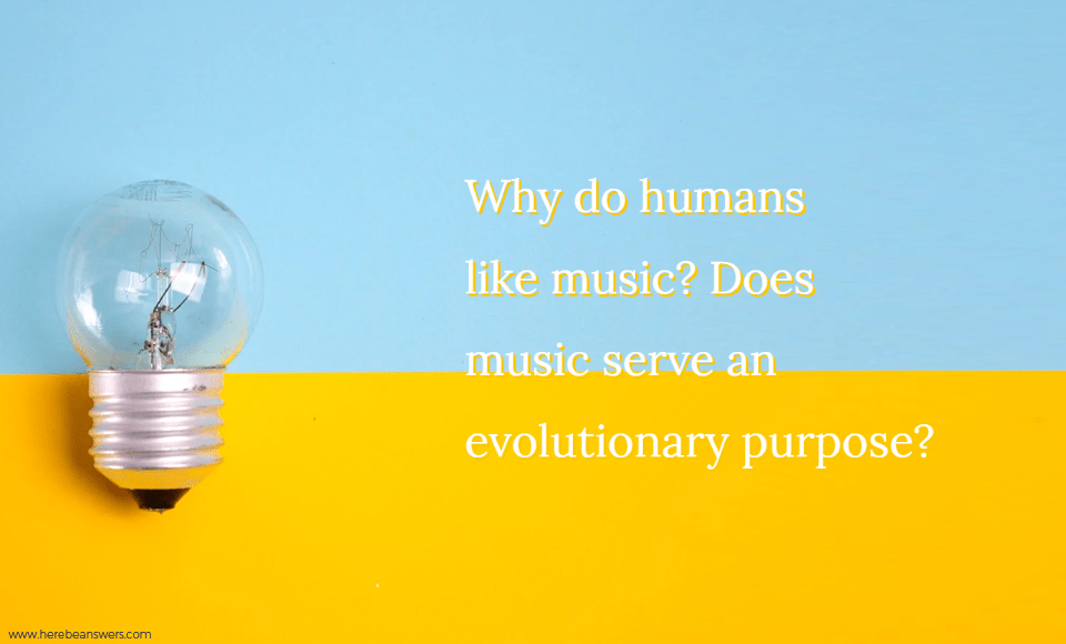 Why do humans like music? Does music serve an evolutionary purpose?