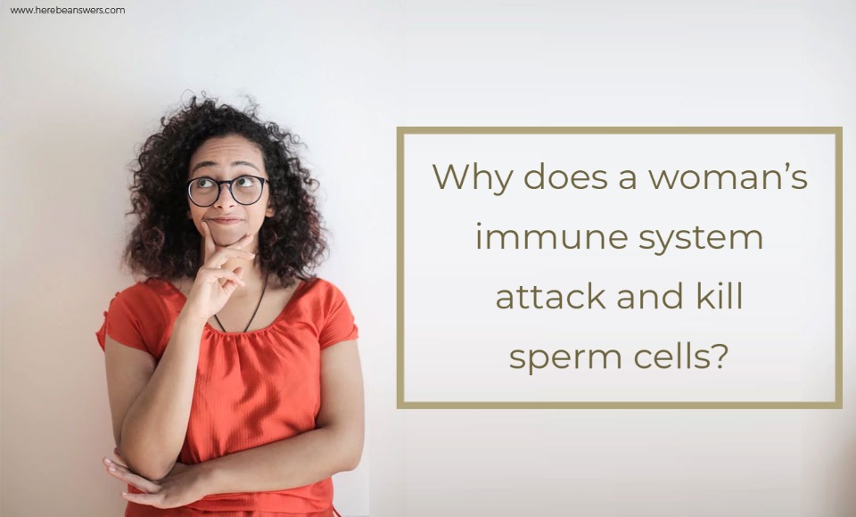 Why does a woman's immune system attack and kill sperm cells?