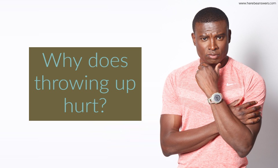 Why does throwing up hurt?