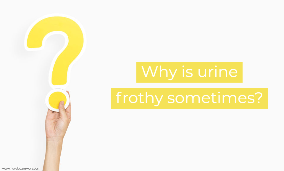 Why is urine frothy sometimes?